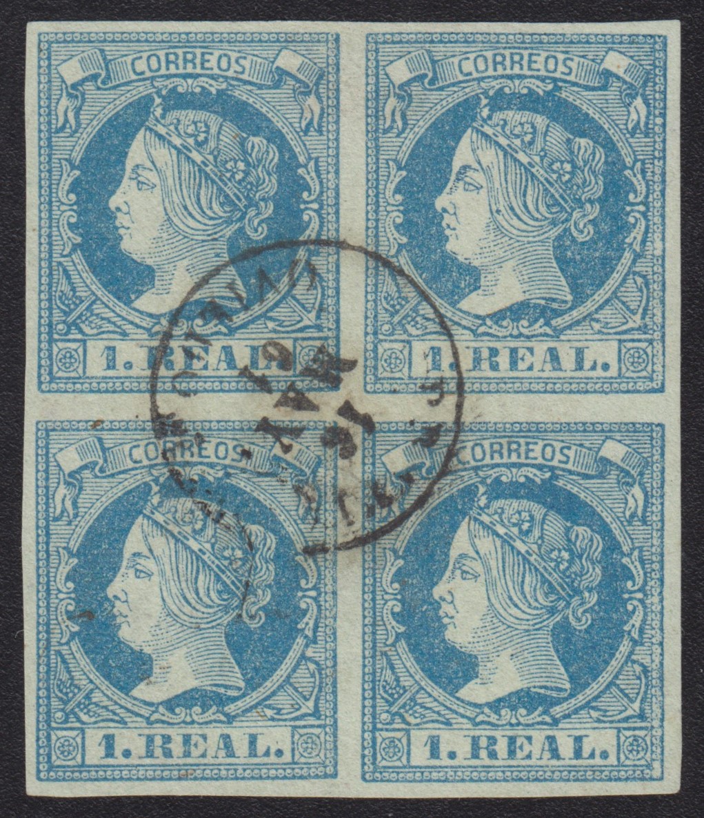 Lote 11